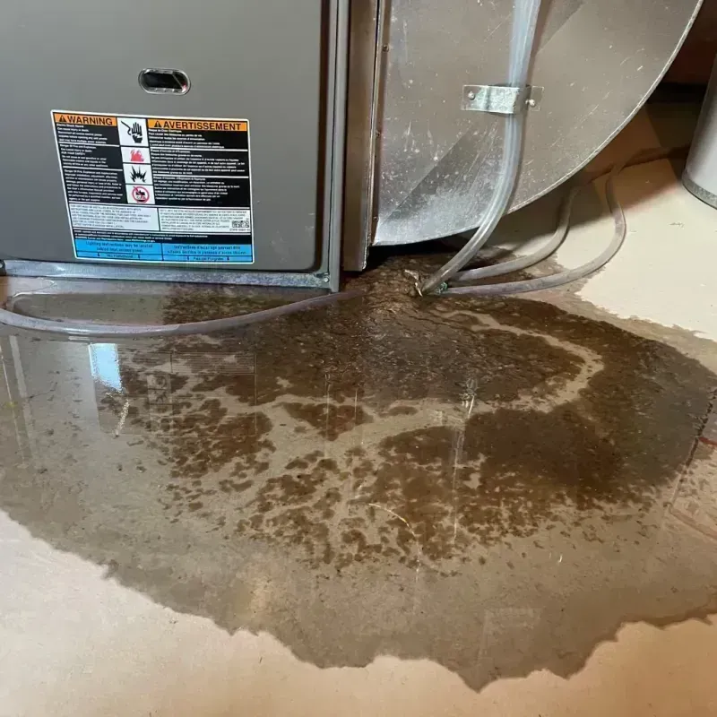 Appliance Leak Cleanup in Deerfield, IL